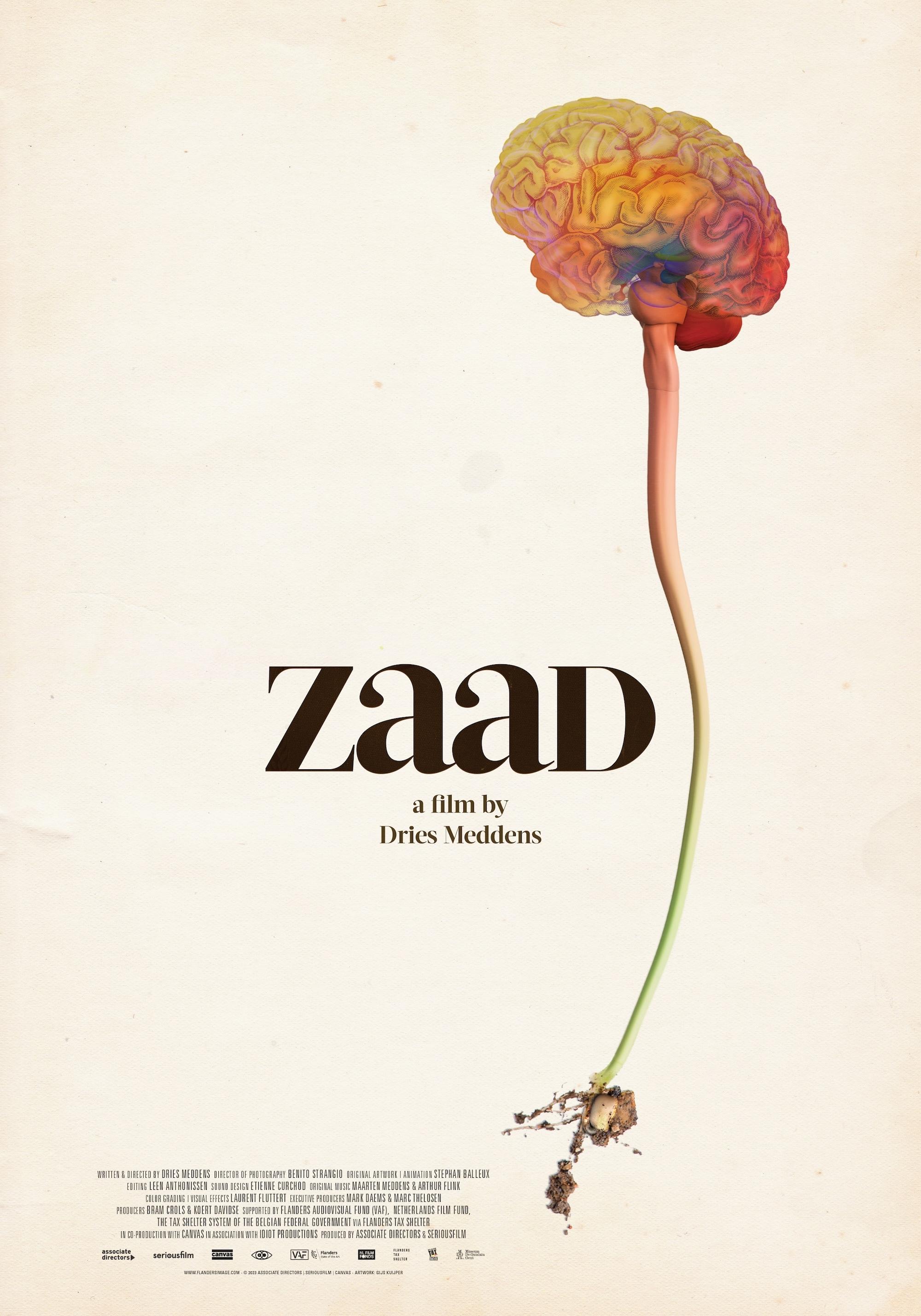 ZAAD | ZAAD