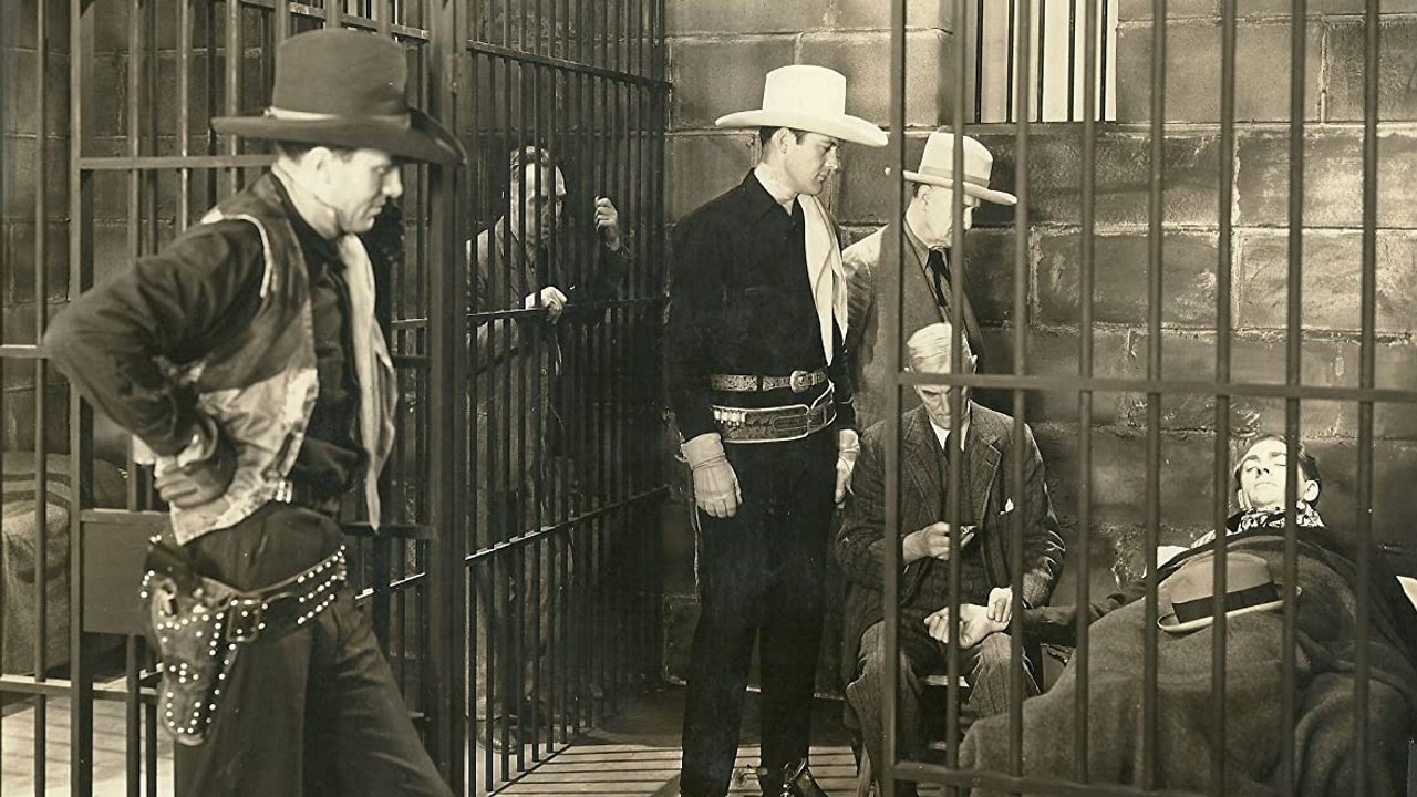 Stampede|Stampede