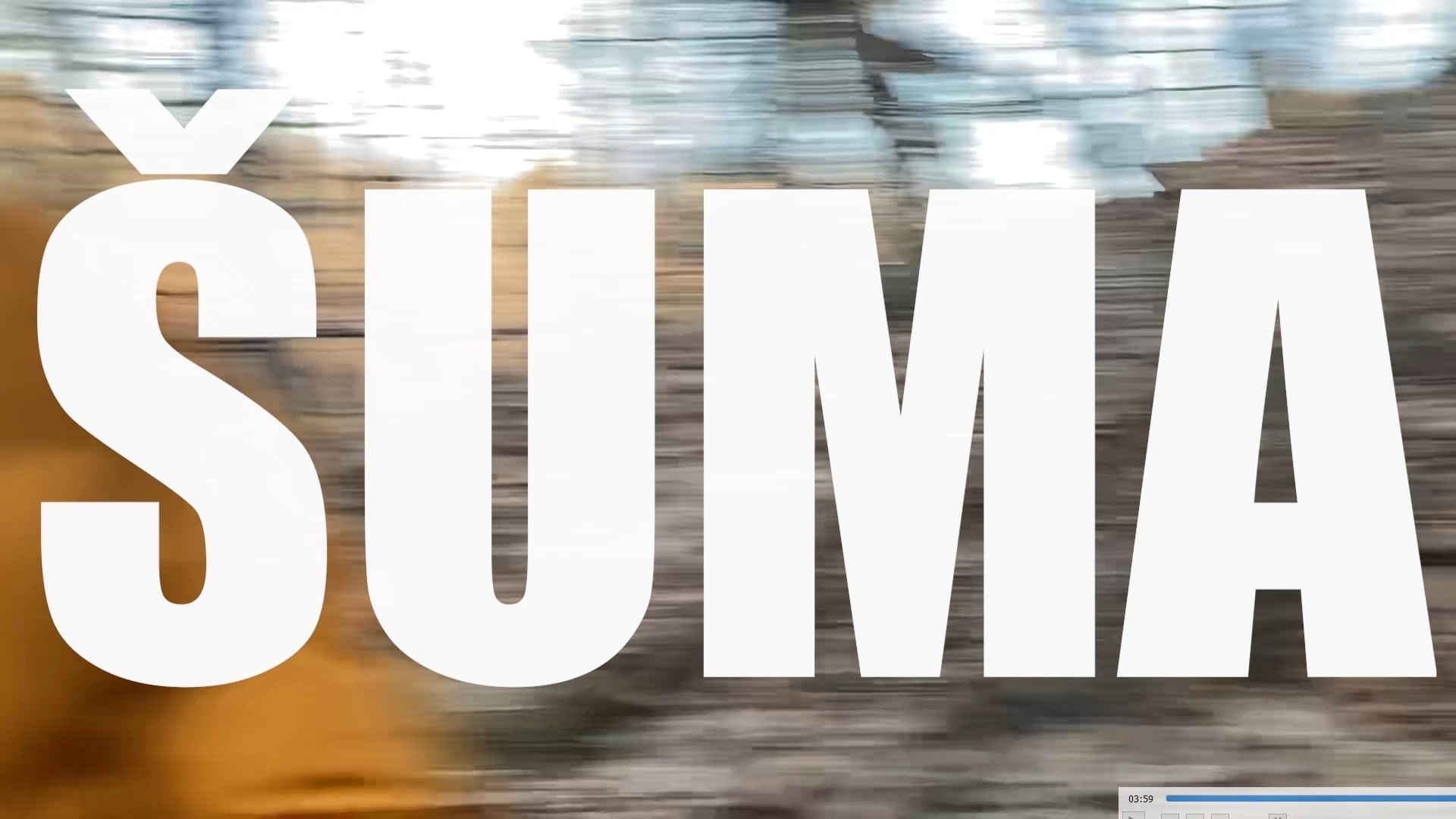 Šuma|Šuma