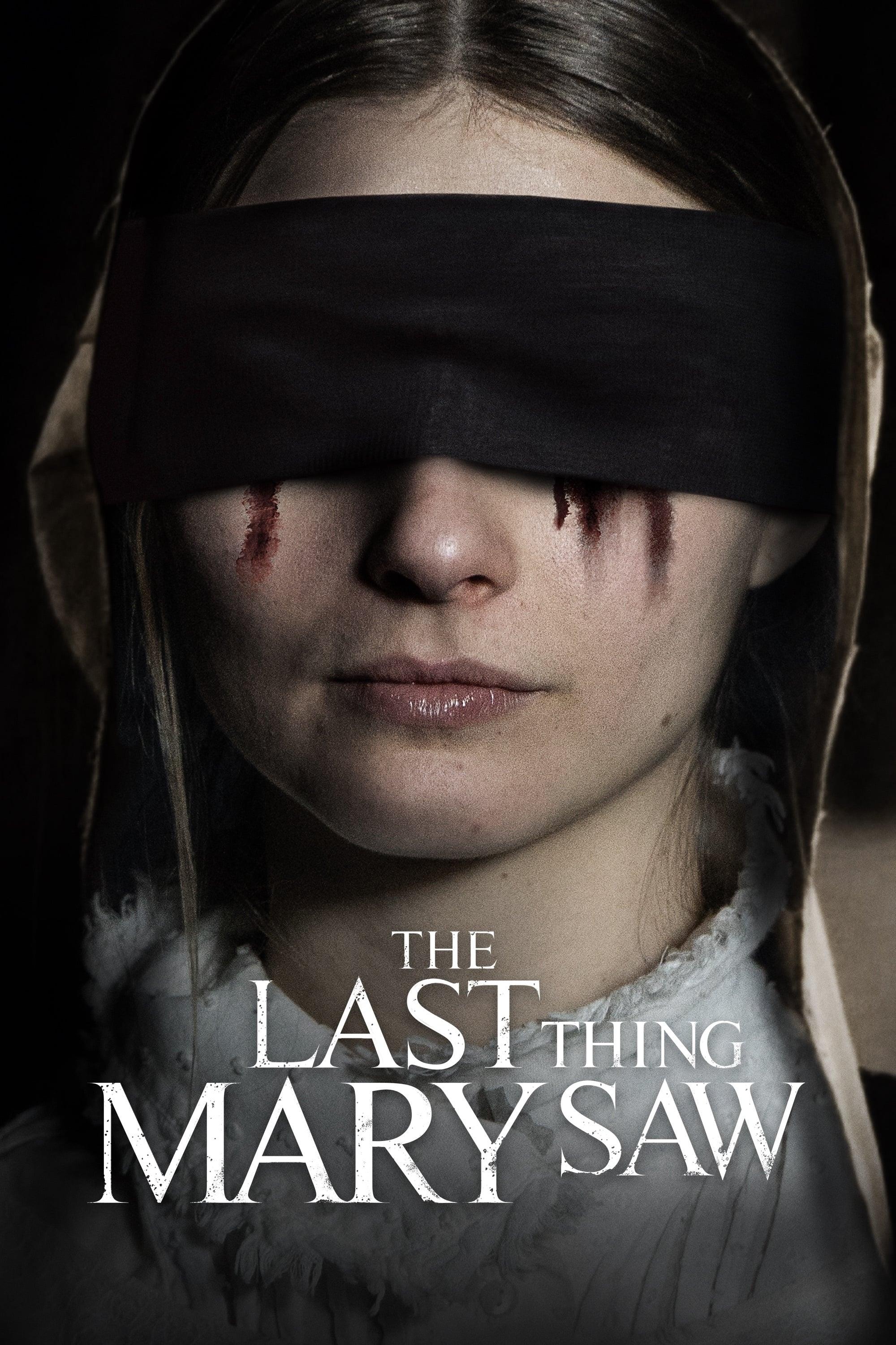 The Last Thing Mary Saw | The Last Thing Mary Saw