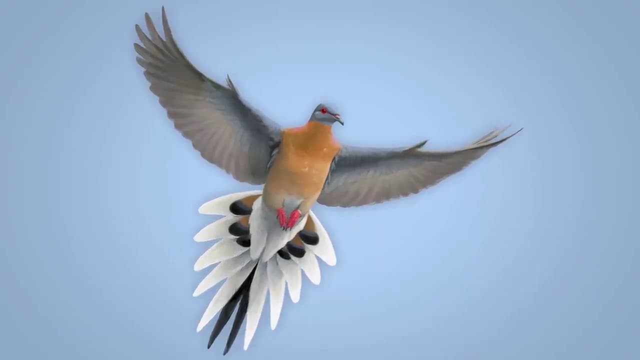 From Billions to None: The Passenger Pigeon's Flight to Extinction|From Billions to None: The Passenger Pigeon's Flight to Extinction