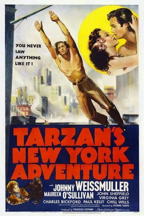 Tarzan's New York Adventure | Tarzan's New York Adventure