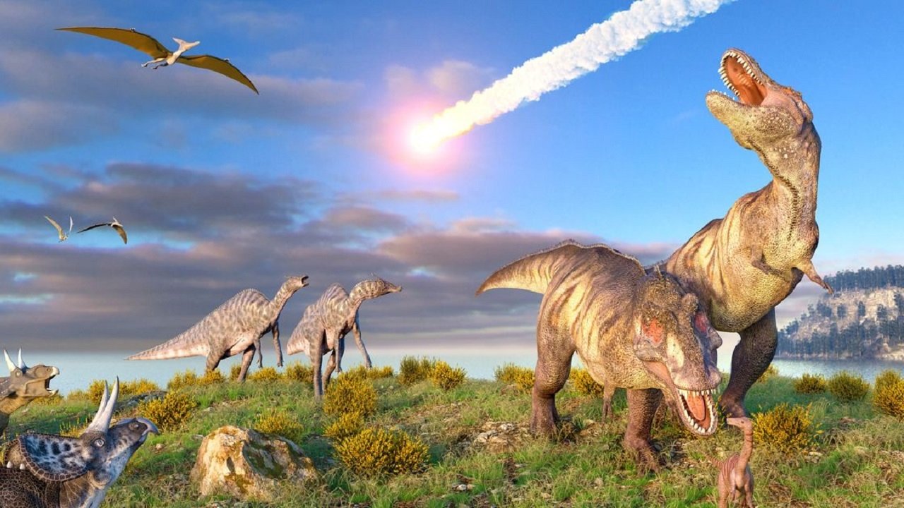 Le Big Bang Des Dinosaures|Le Big Bang Des Dinosaures