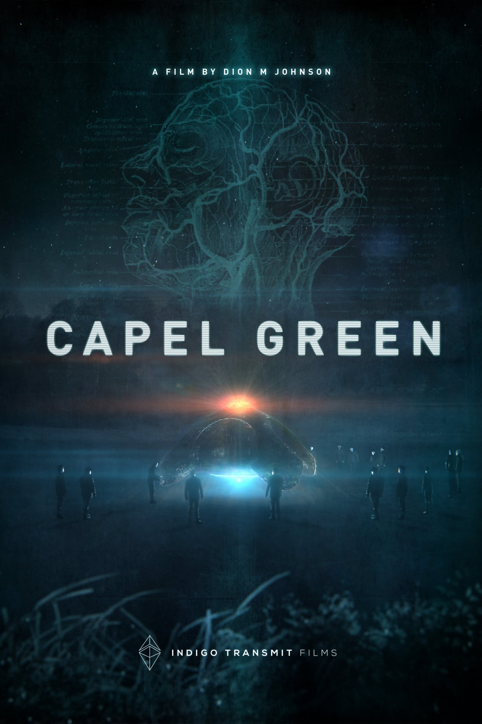 Capel Green | Capel Green