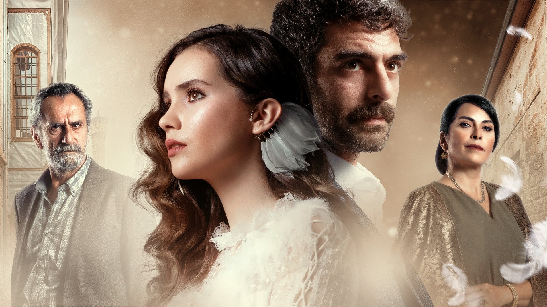 Güvercin|Güvercin