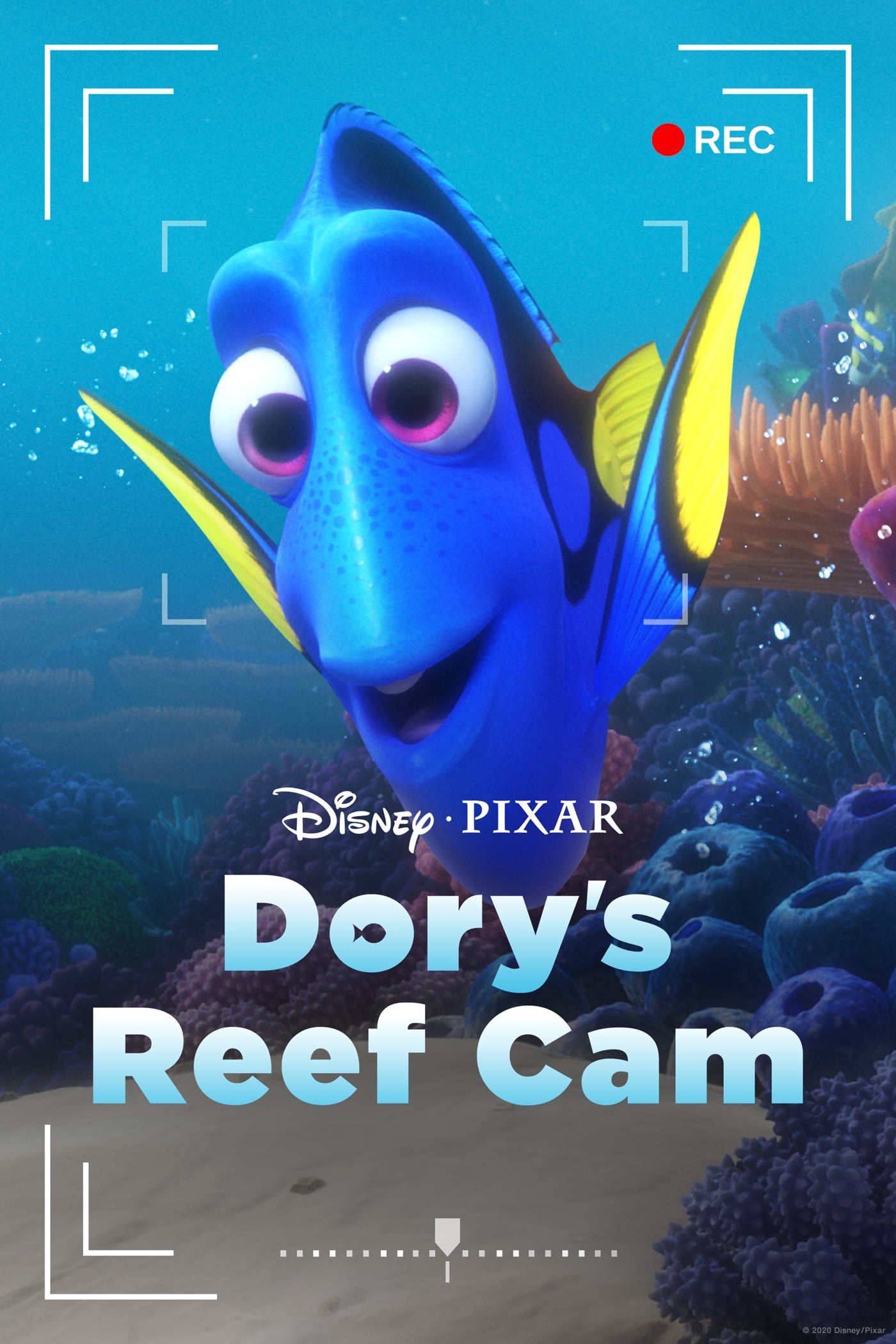 Dory's Reef Cam | Dory's Reef Cam