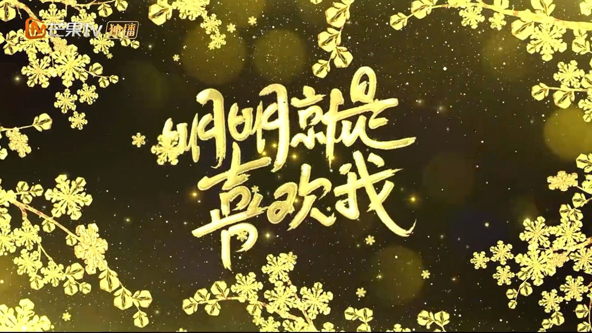 明明就是喜欢我|明明就是喜欢我