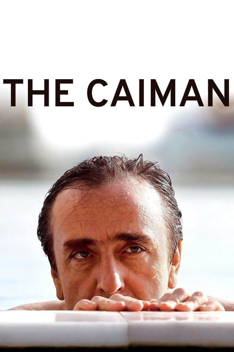 Il caimano