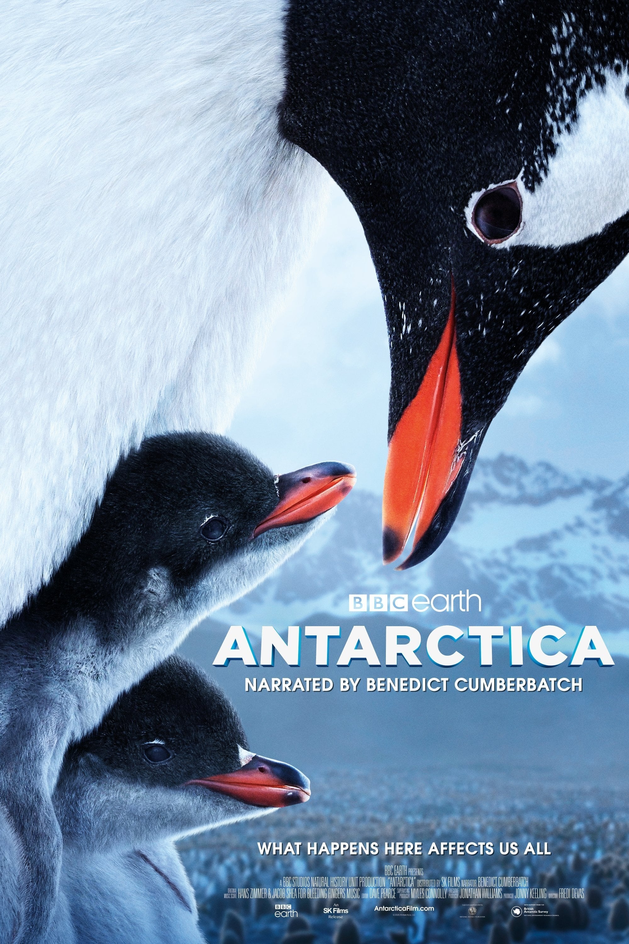 Antarctica | Antarctica