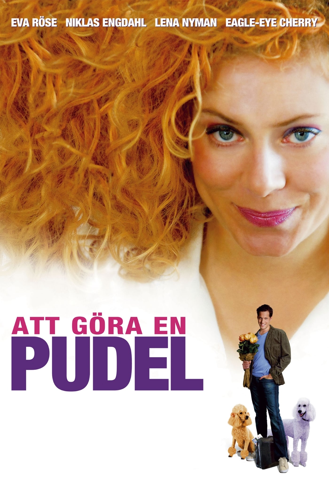 Att göra en pudel | Att göra en pudel