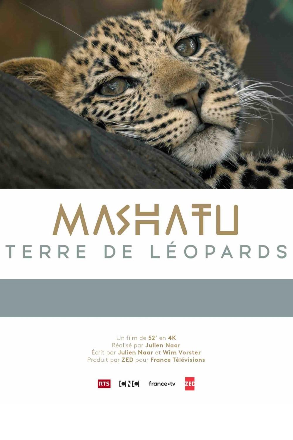 Mashatu, terre de léopards | Mashatu, terre de léopards