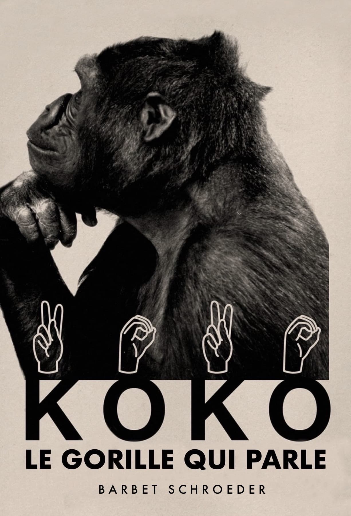 Koko, le gorille qui parle | Koko, le gorille qui parle