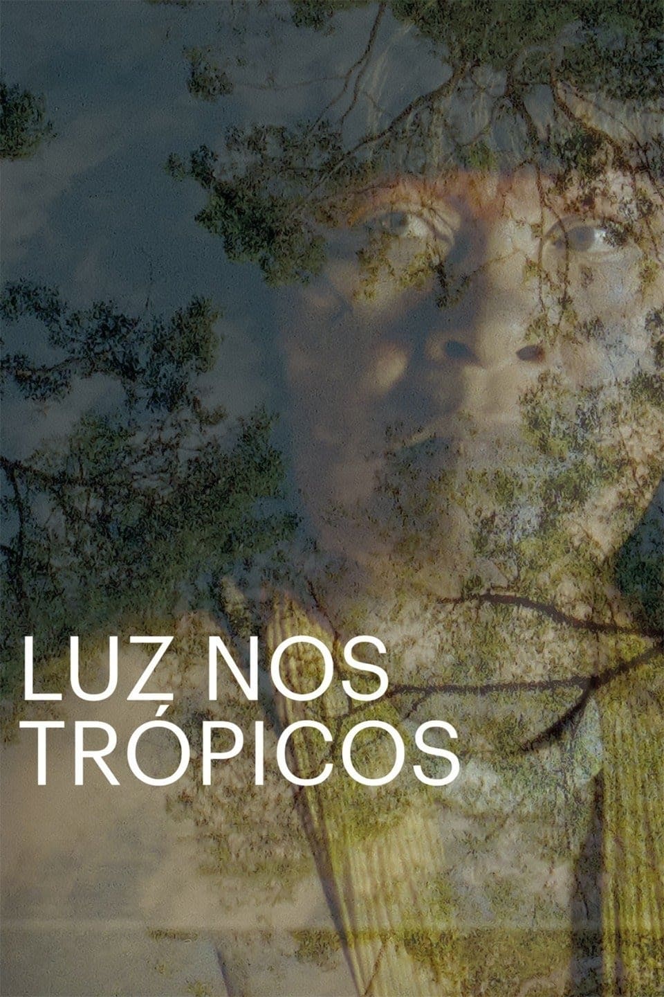 Luz nos Trópicos | Luz nos Trópicos