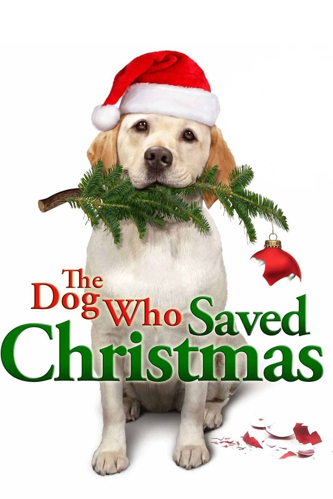 The Dog Who Saved Christmas | The Dog Who Saved Christmas