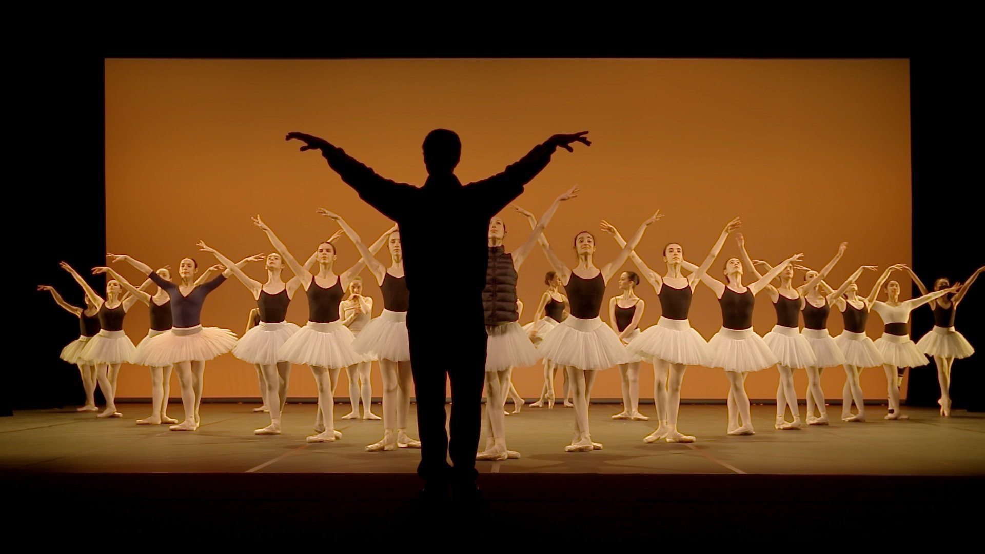 Seule la danse, une année au conservatoire de Paris|Seule la danse, une année au conservatoire de Paris