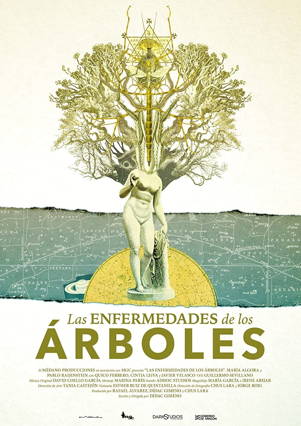 Las Enfermedades de los Árboles | Las Enfermedades de los Árboles