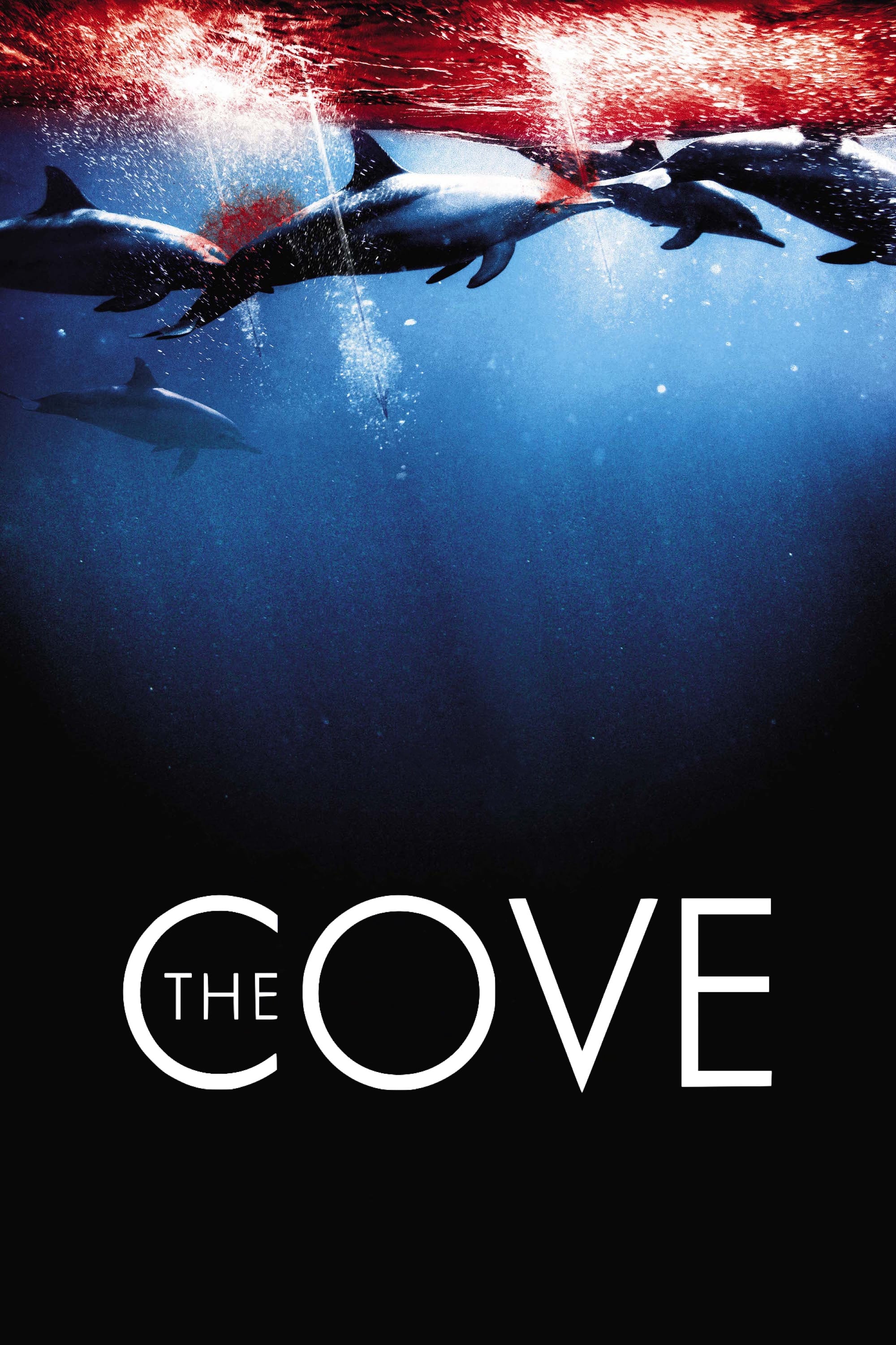 The Cove | The Cove