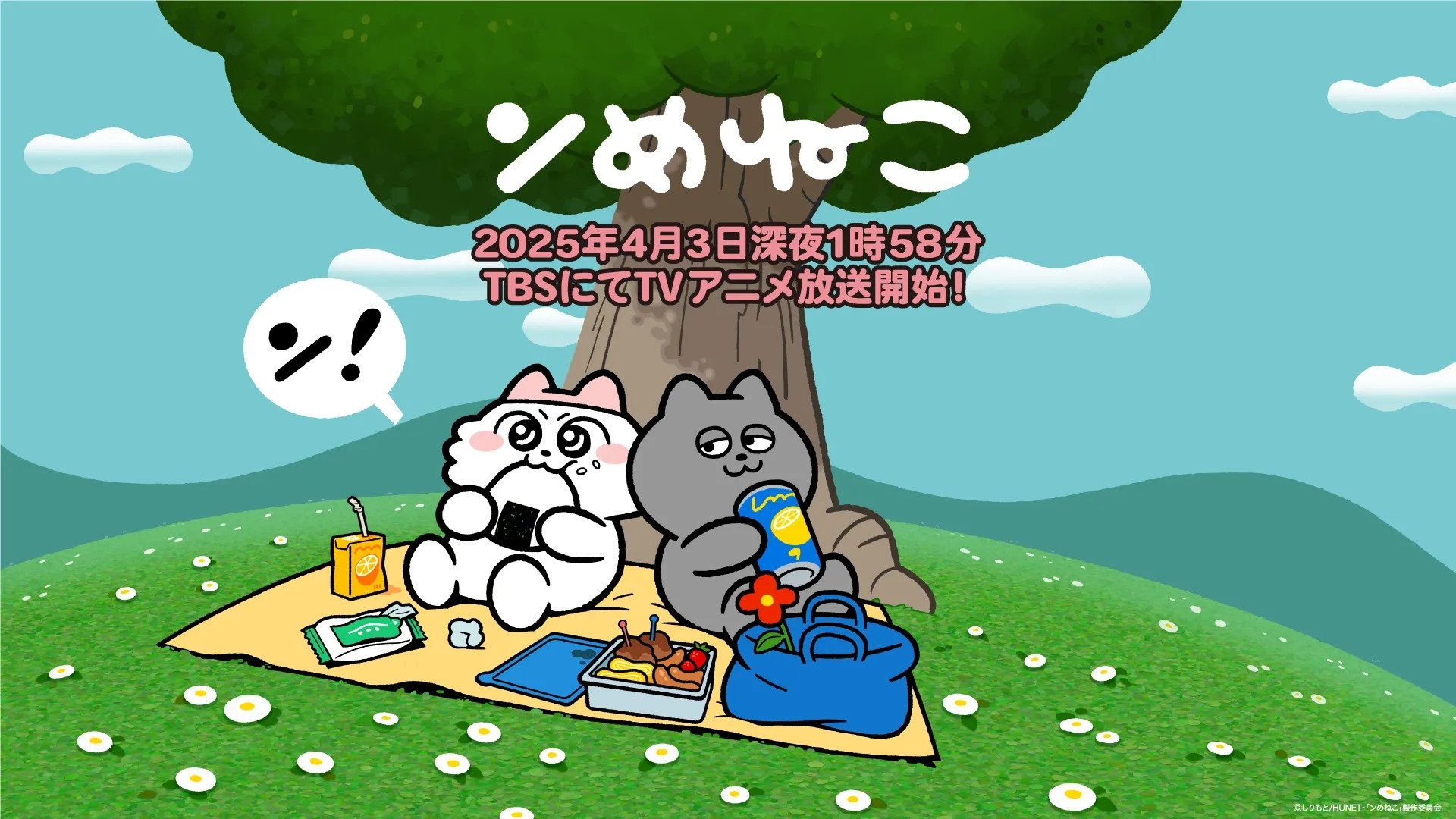 ンめねこ|ンめねこ