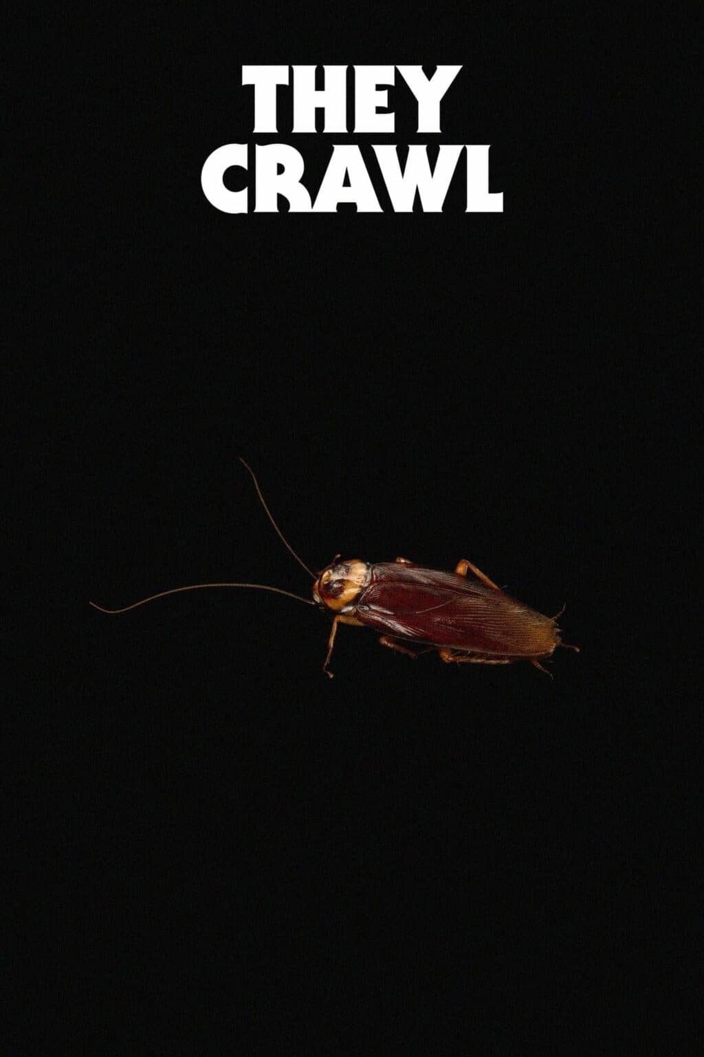 They Crawl | They Crawl