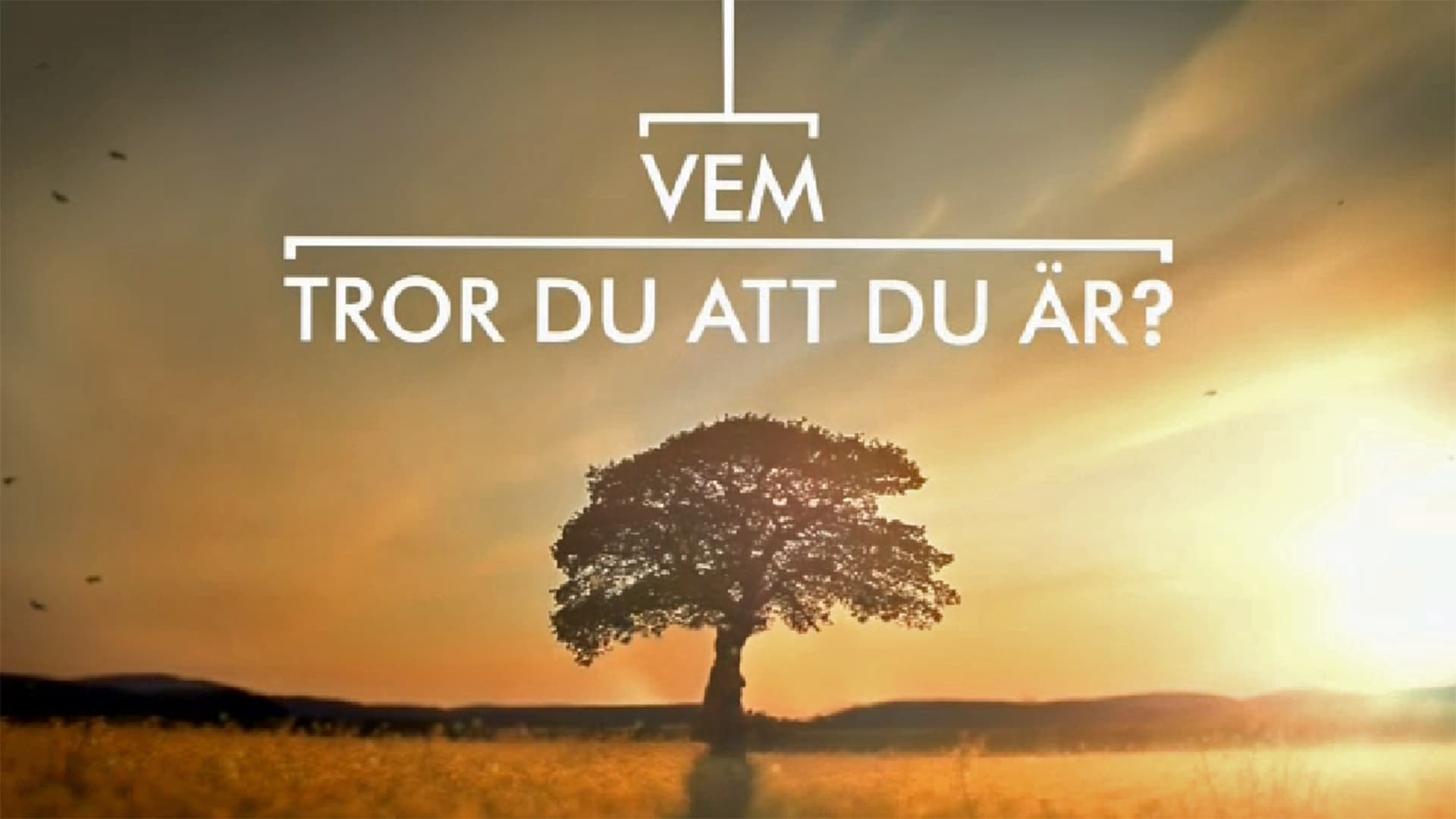 Vem tror du att du är?|Vem tror du att du är?