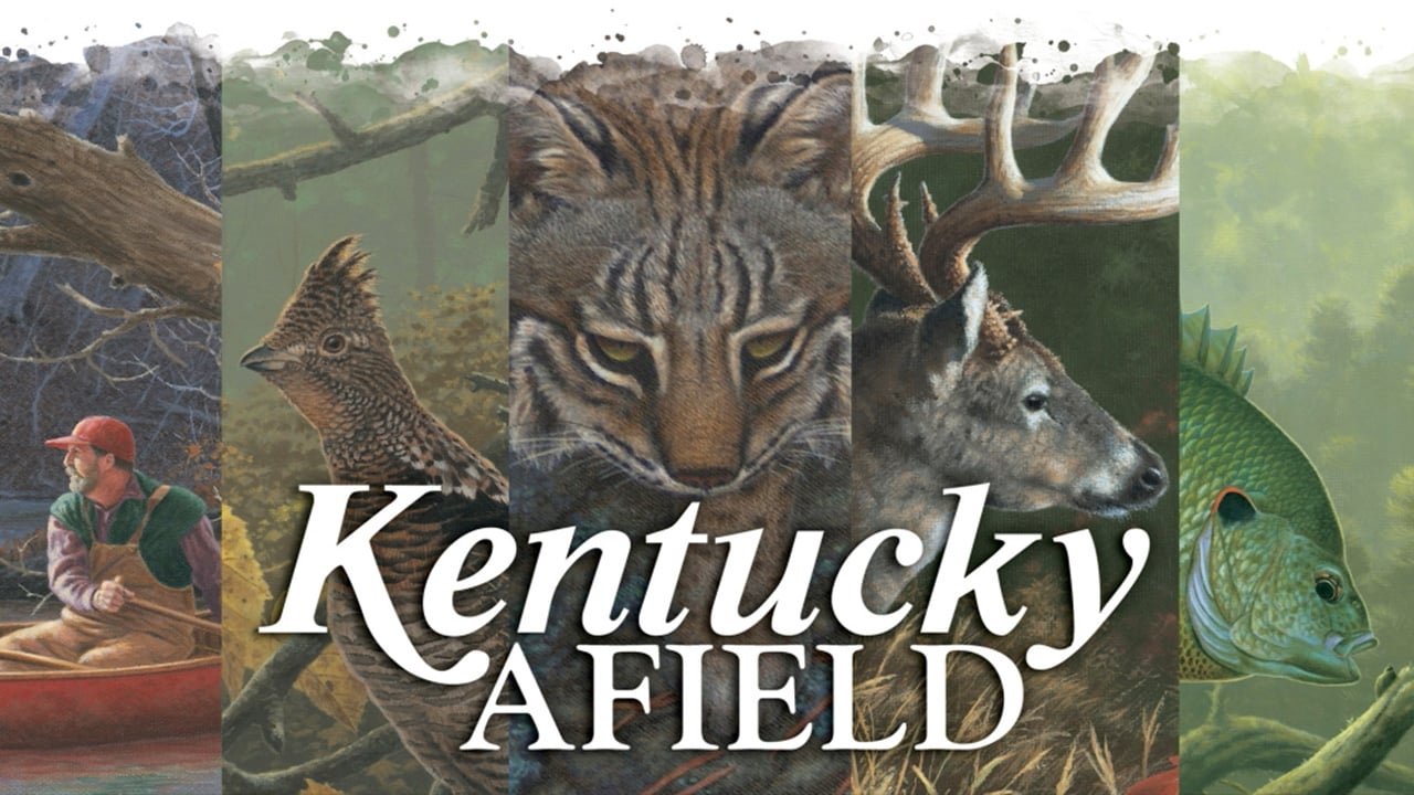 Kentucky Afield|Kentucky Afield