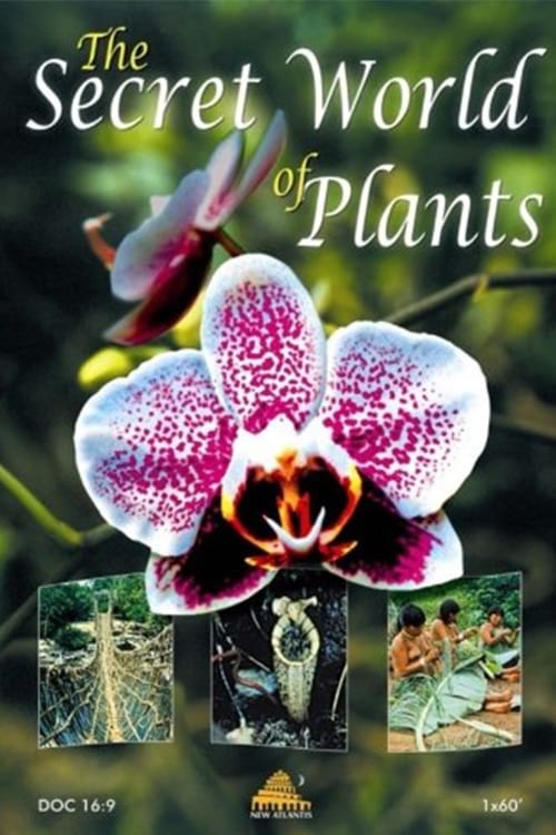 The Secret World of Plants | The Secret World of Plants