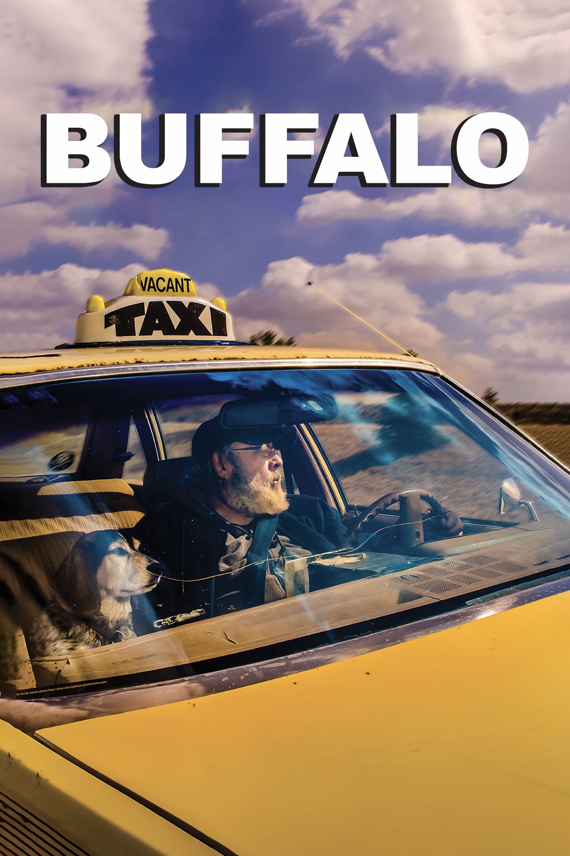 Buffalo | Buffalo