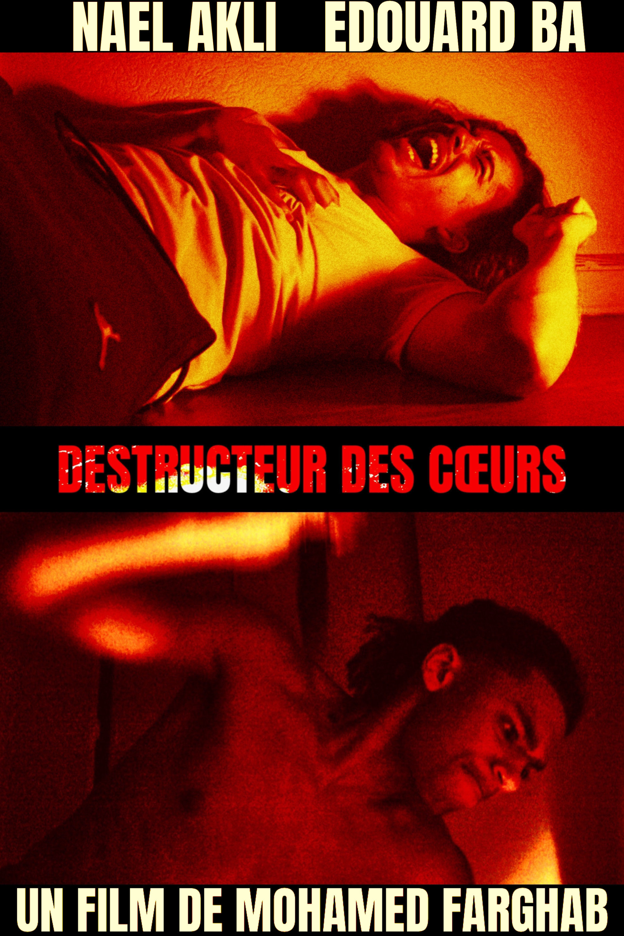 Destructeur des cœurs | Destructeur des cœurs