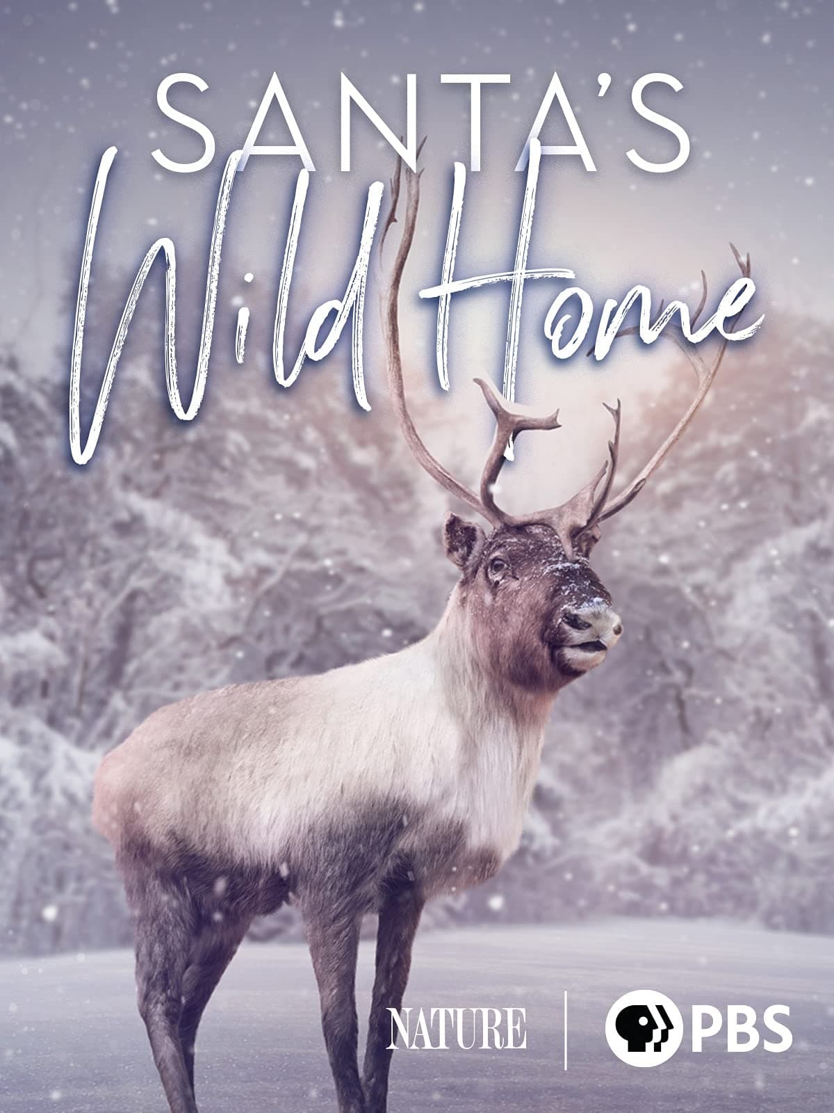 Santa's Wild Home | Santa's Wild Home