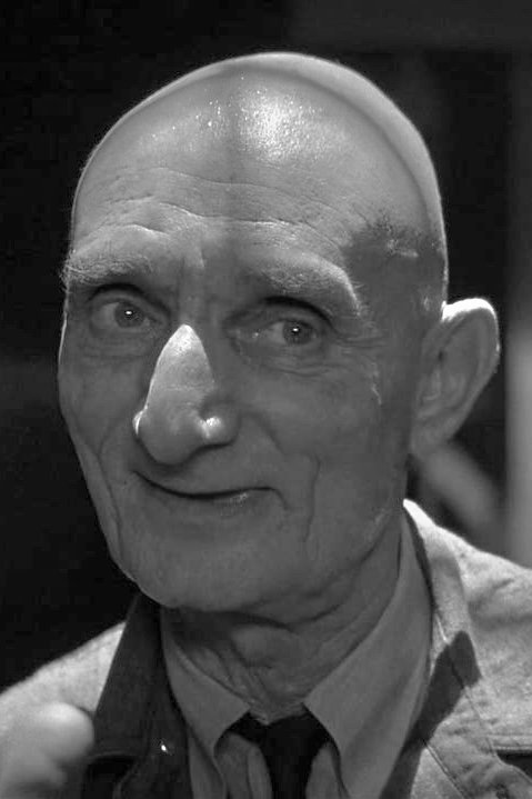 بازیگر Harry Bugin  