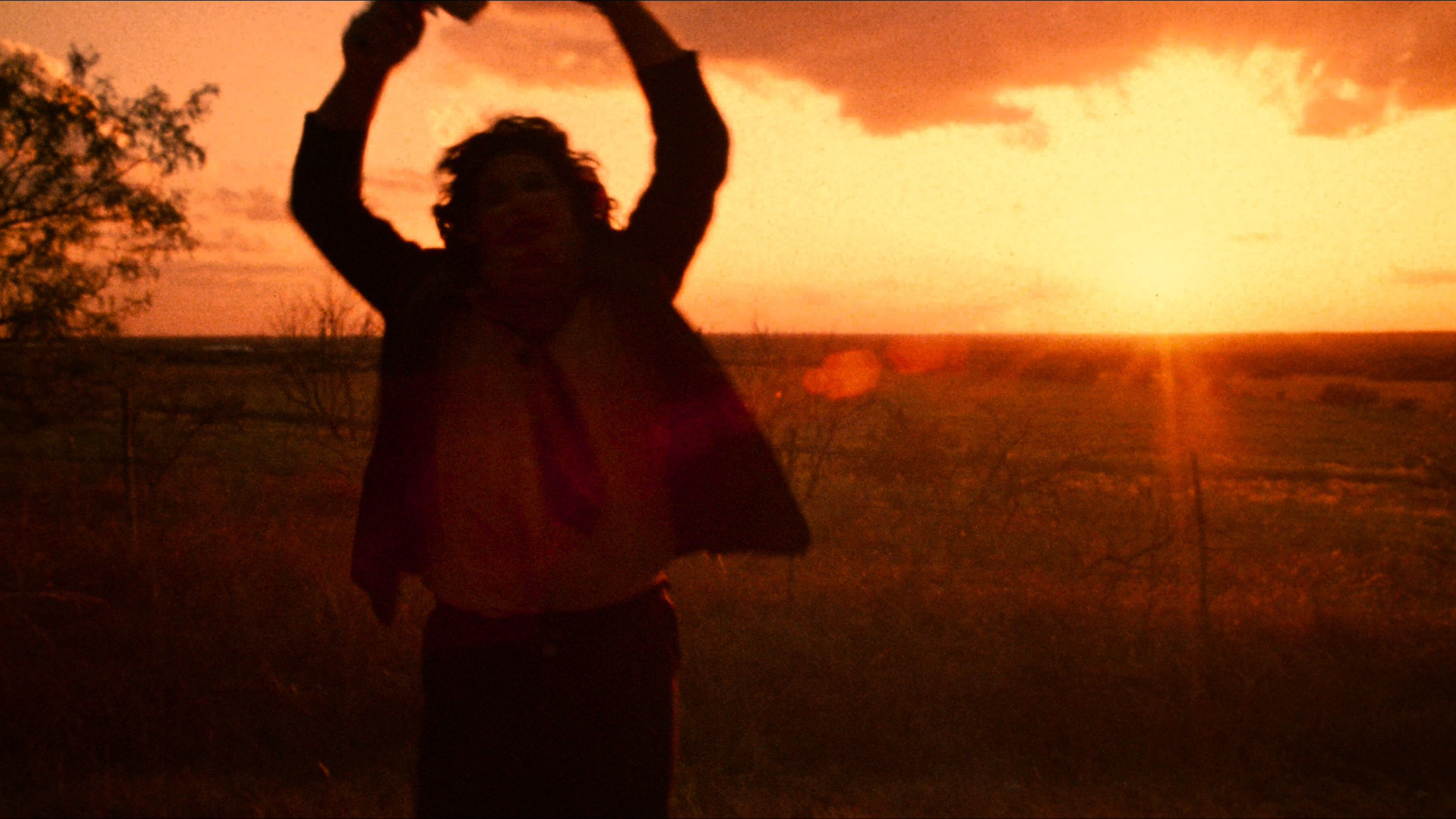 The Texas Chain Saw Massacre|The Texas Chain Saw Massacre