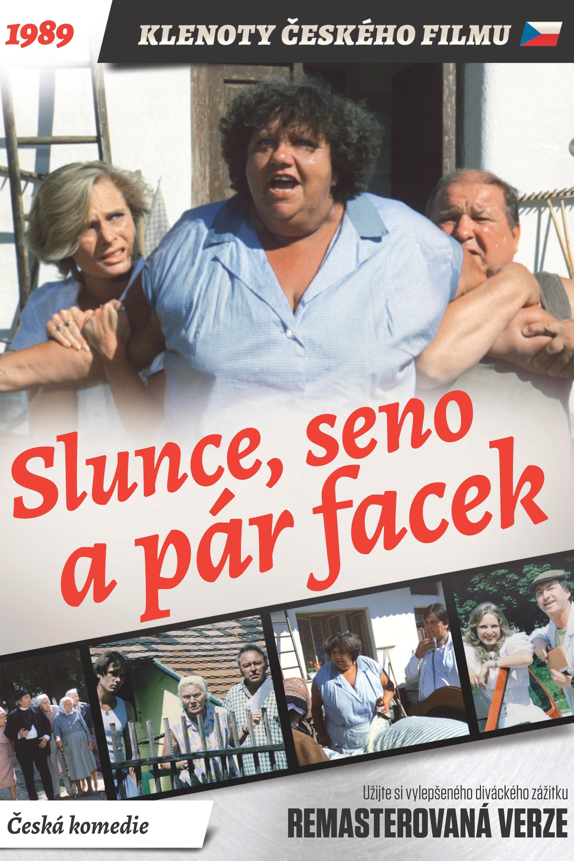 Slunce, seno a pár facek | Slunce, seno a pár facek