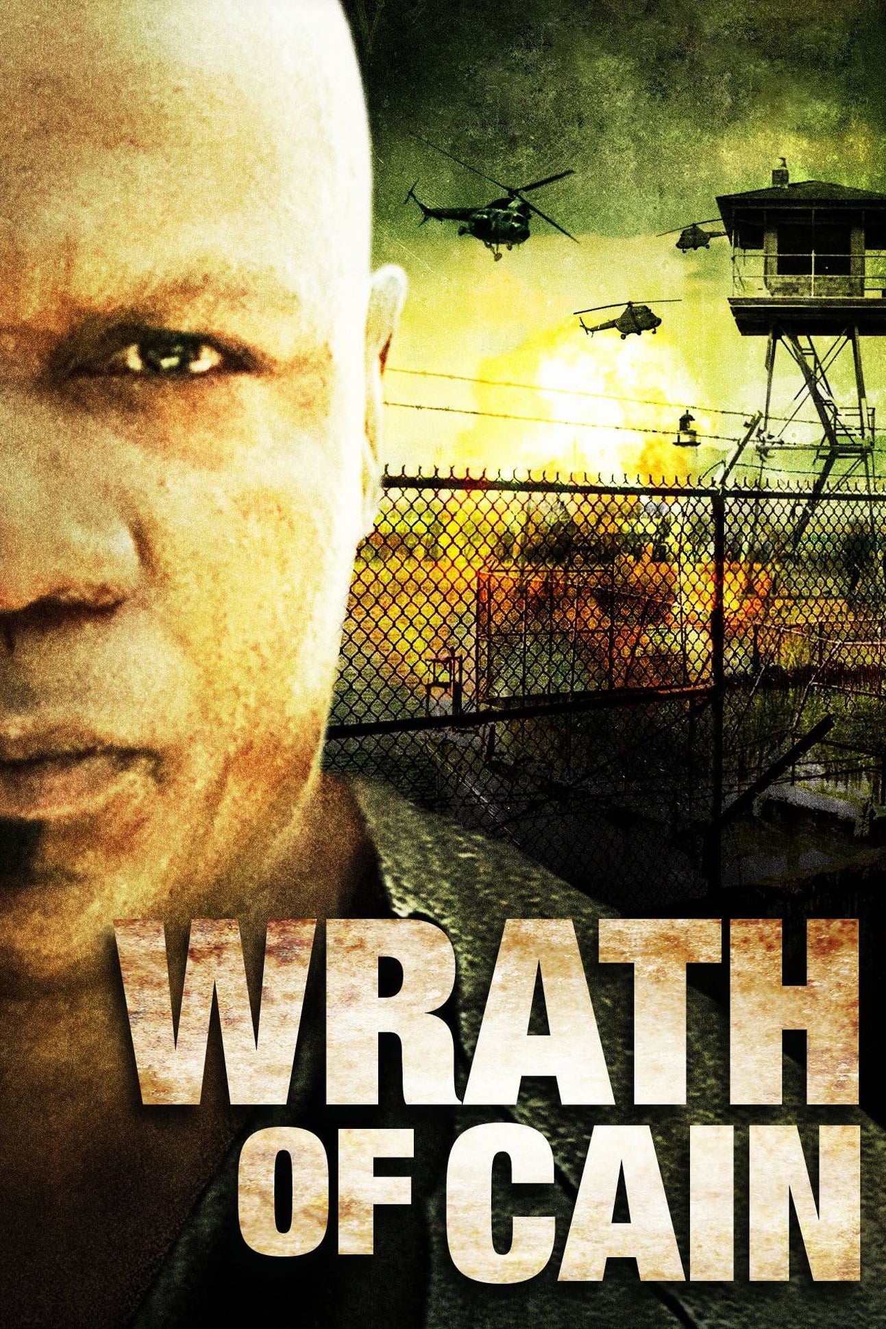 The Wrath of Cain | The Wrath of Cain