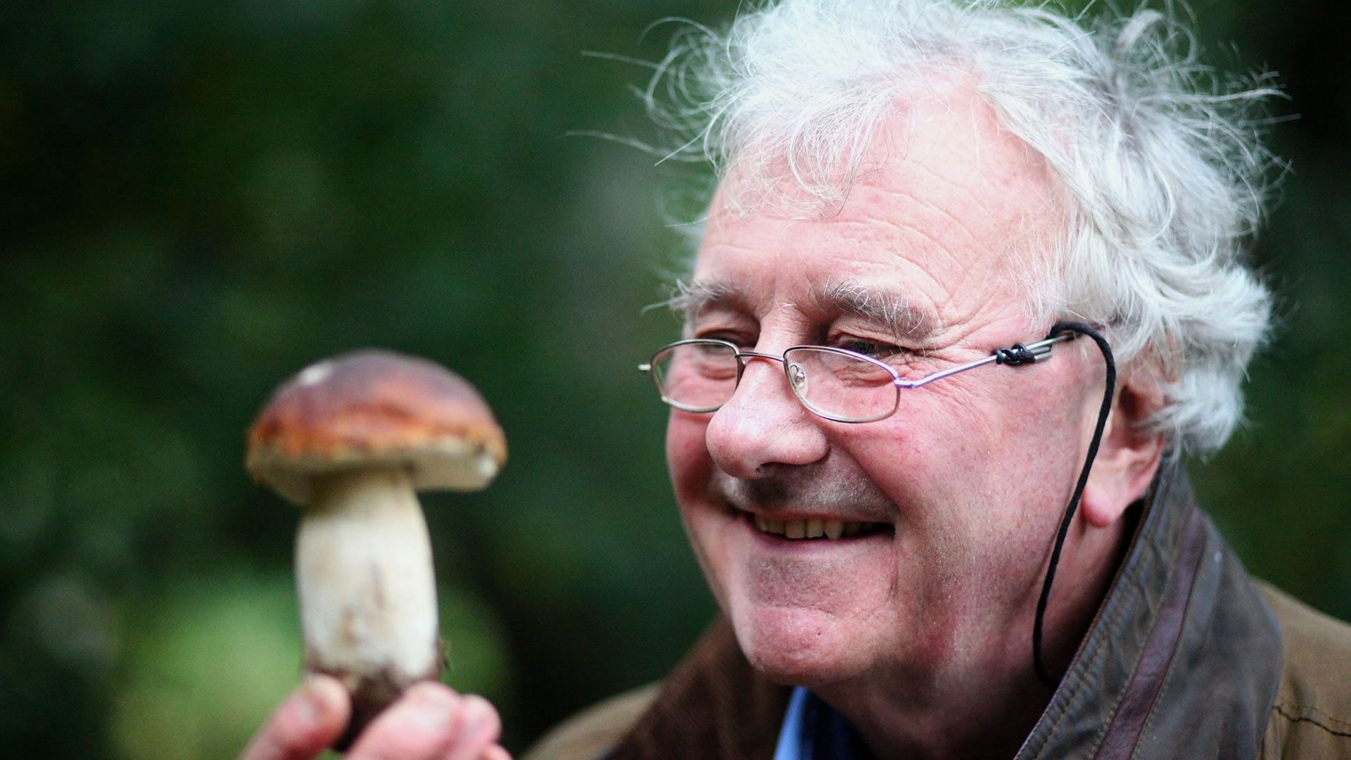 The Magic of Mushrooms|The Magic of Mushrooms