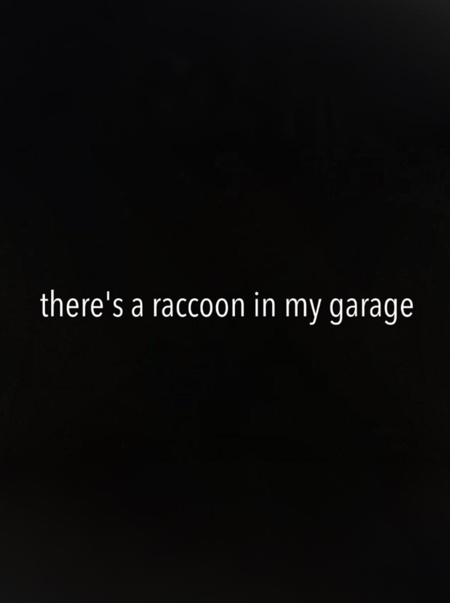 There's a Raccoon in My Garage