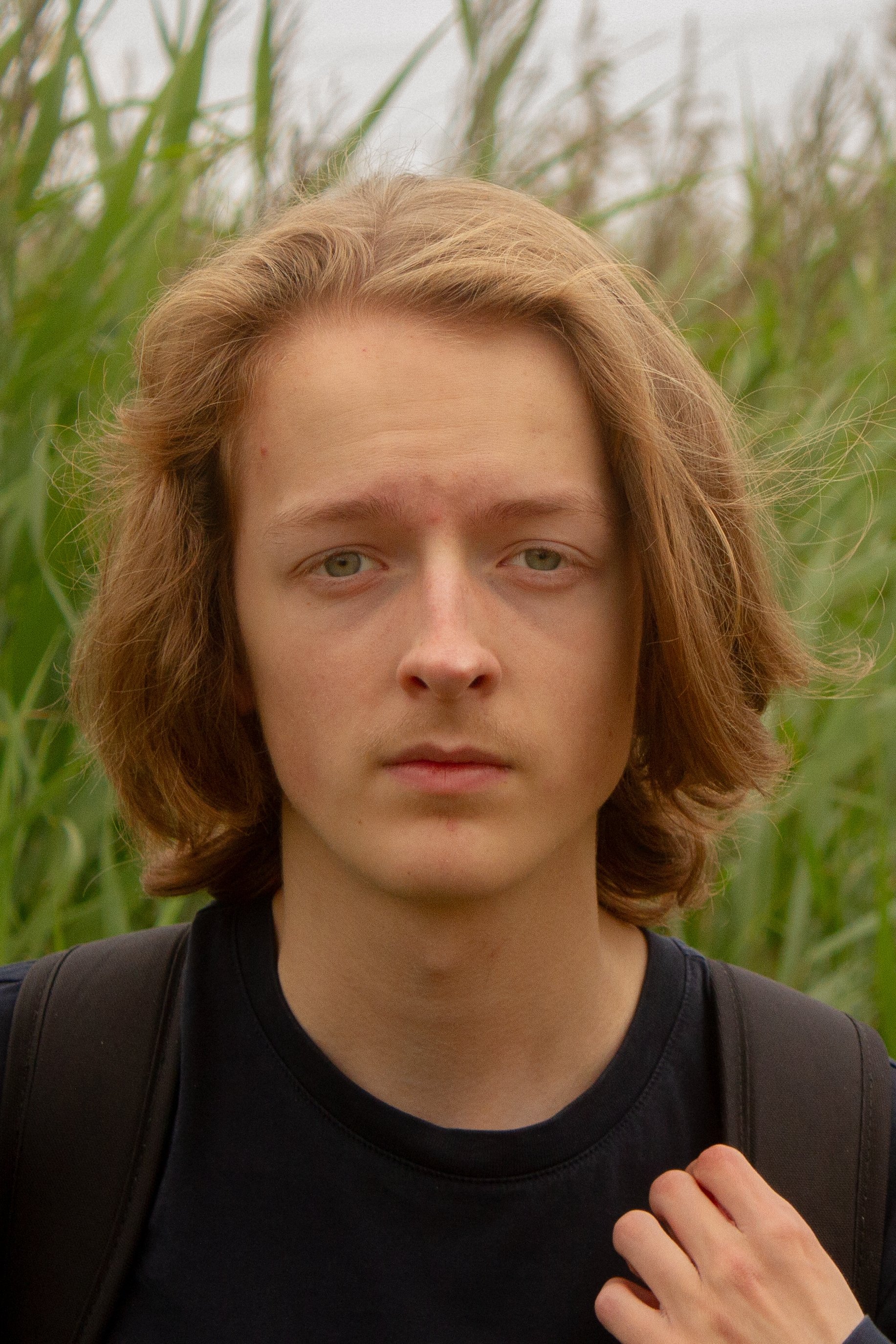 بازیگر Harry Matthews  
