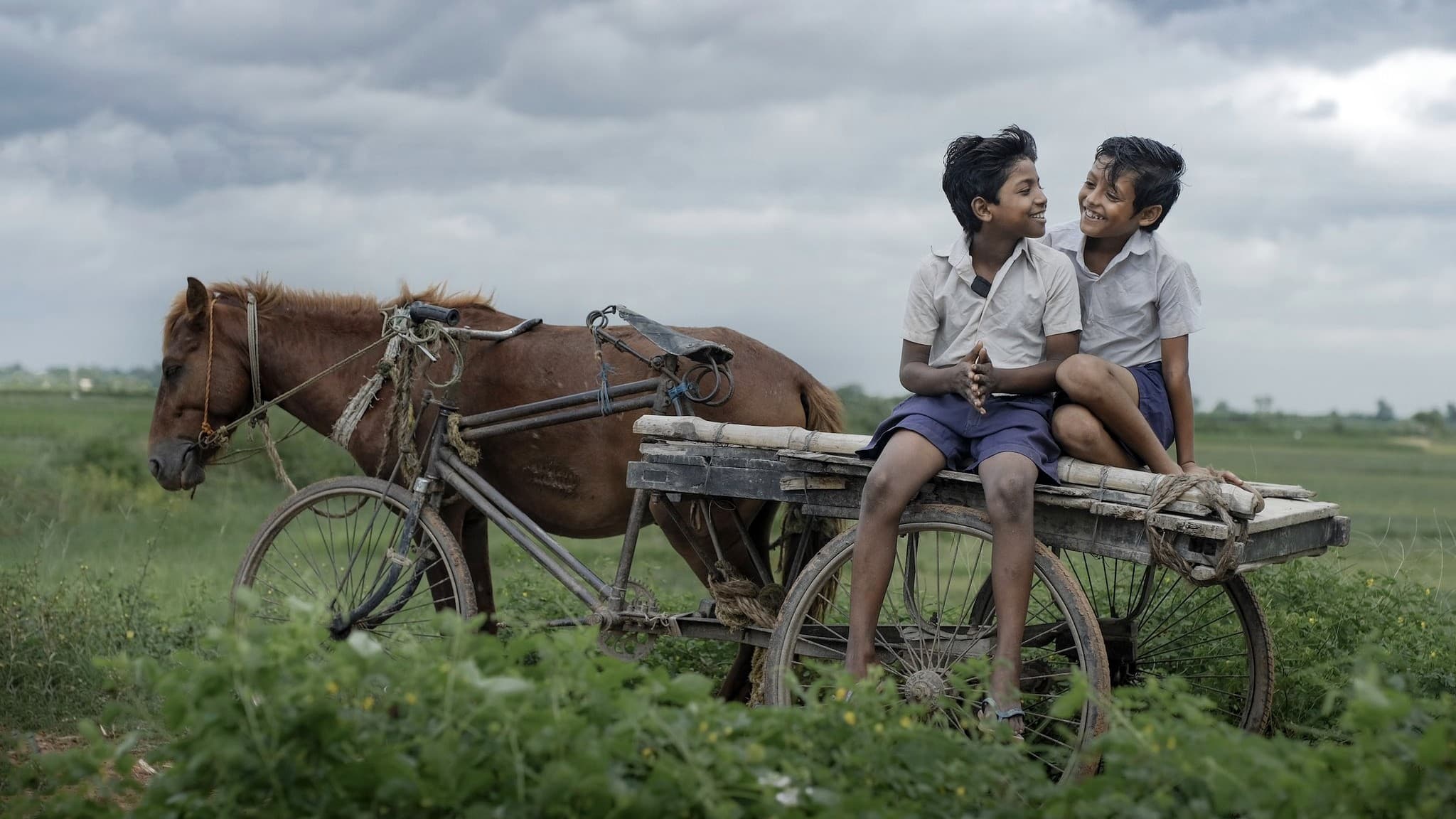 দোস্তজী|দোস্তজী