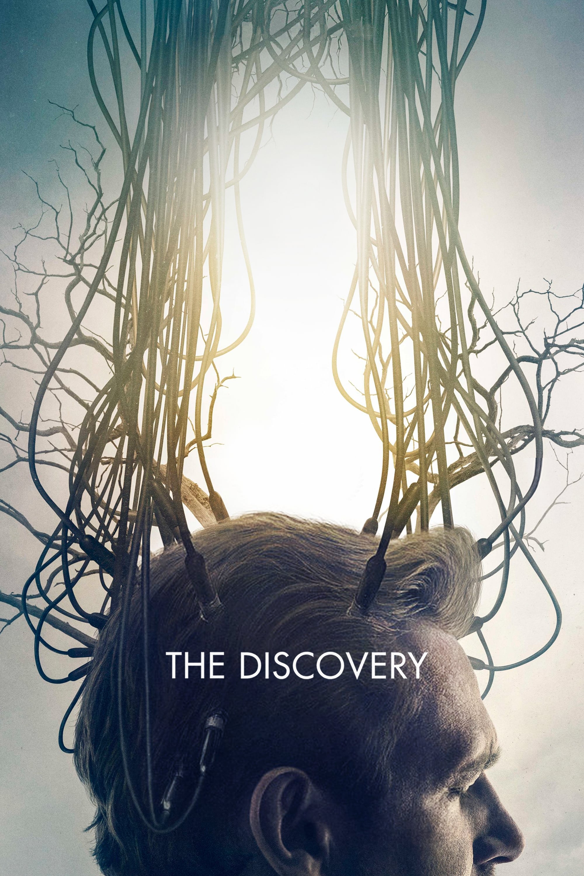 The Discovery | The Discovery