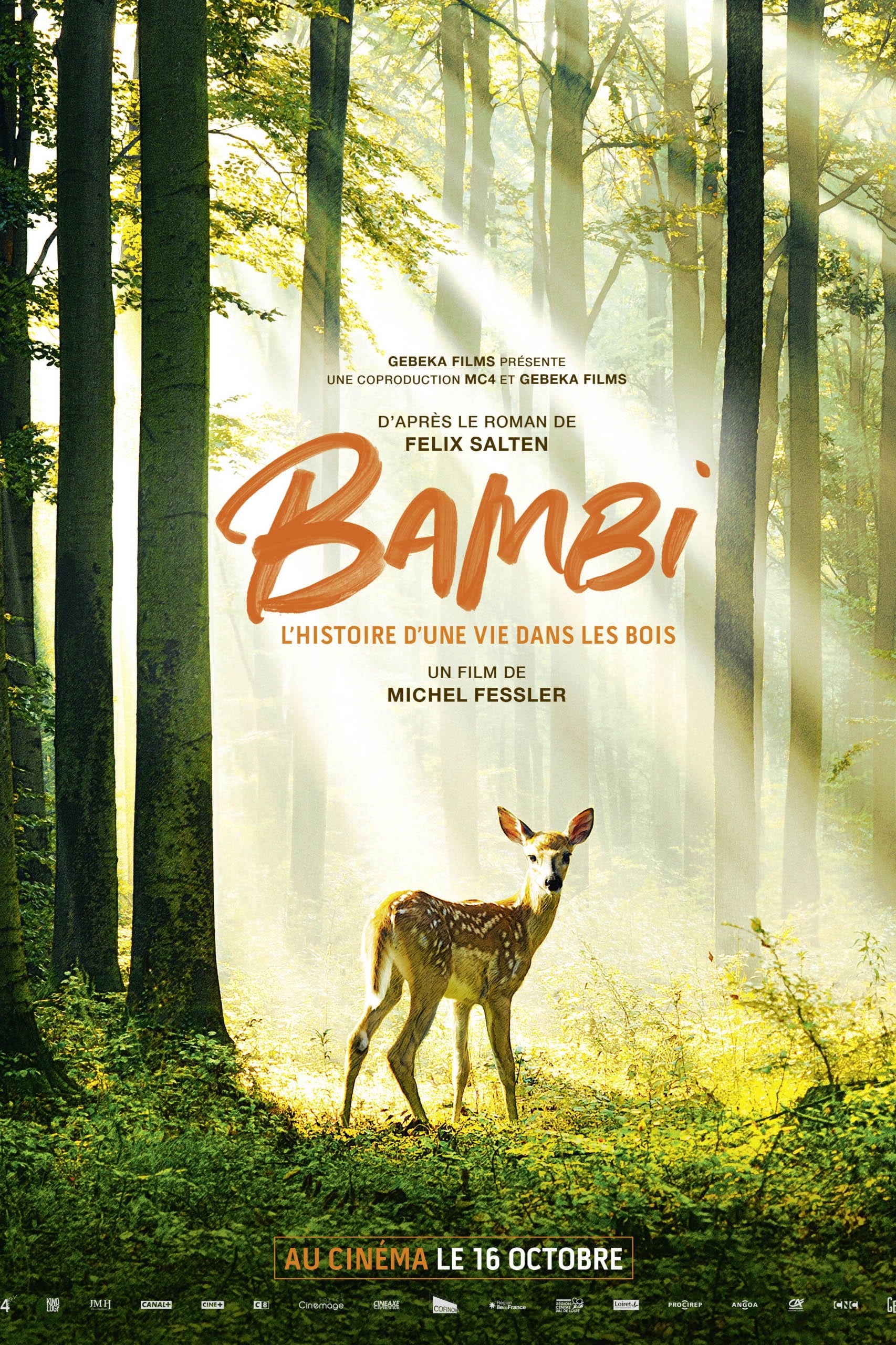 Bambi, l'histoire d'une vie dans les bois | Bambi, l'histoire d'une vie dans les bois