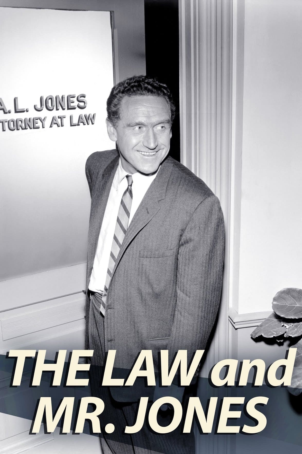 The Law and Mr. Jones | The Law and Mr. Jones