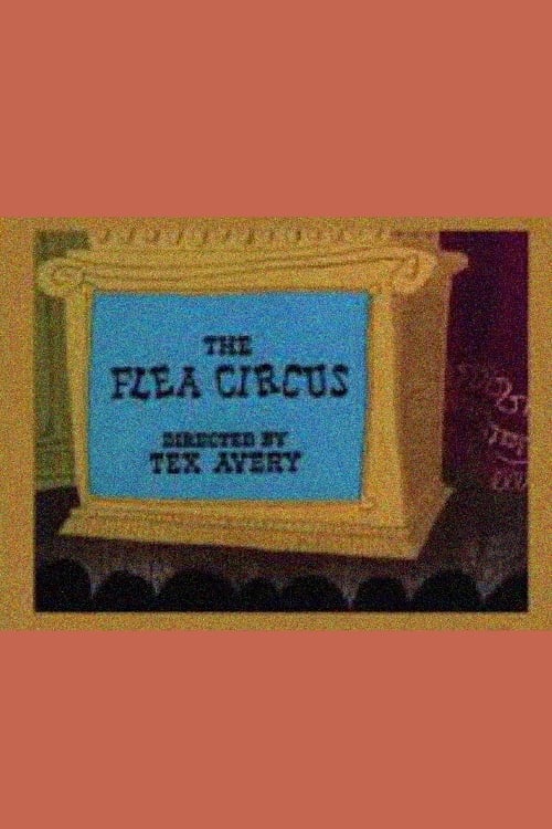 The Flea Circus | The Flea Circus