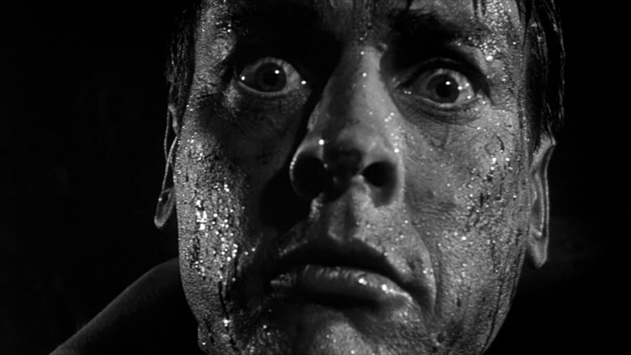 Invasion of the Body Snatchers|Invasion of the Body Snatchers