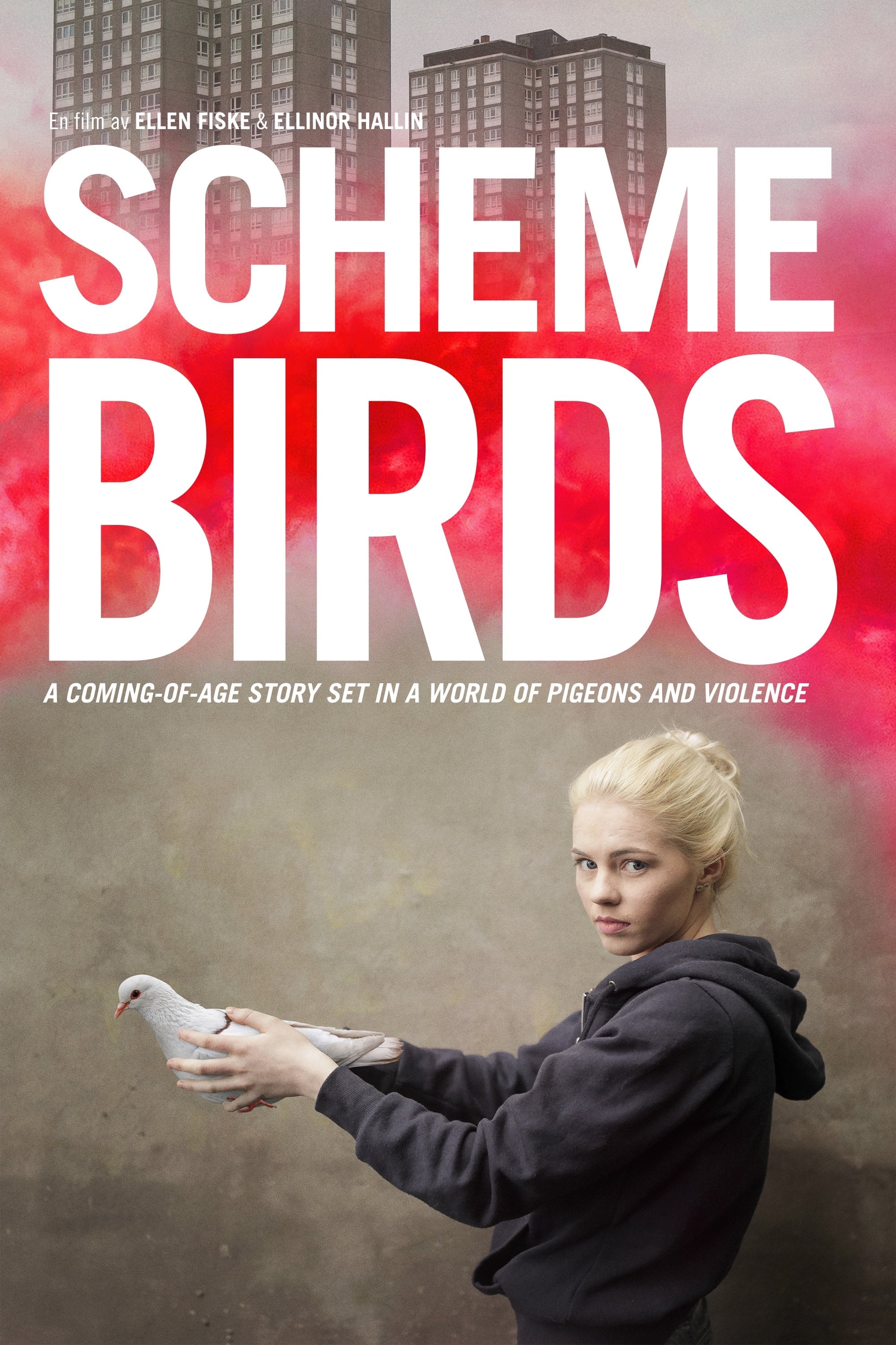 Scheme Birds | Scheme Birds