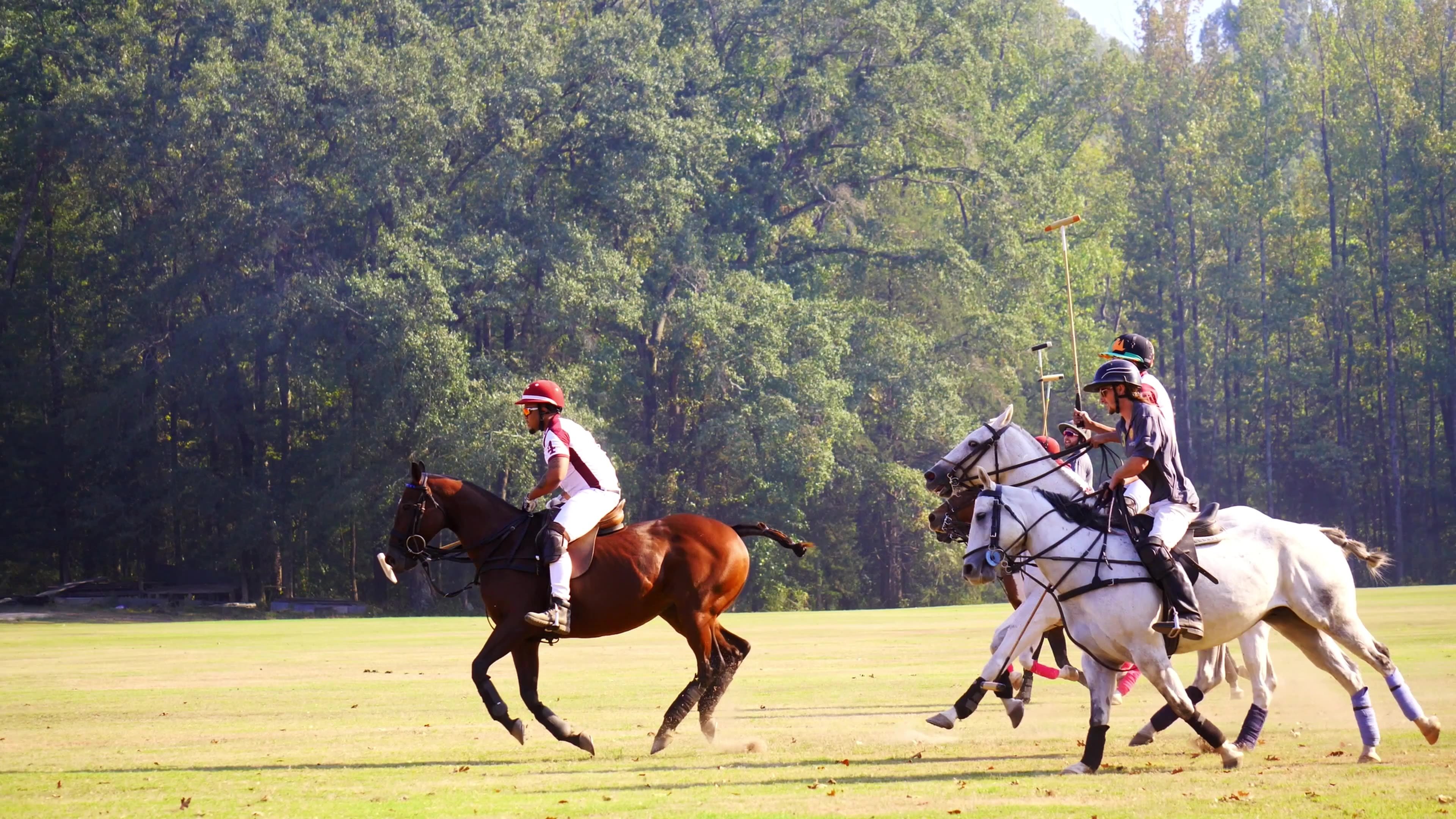 From Rodeo to Polo: The 1st HBCU Polo Team|From Rodeo to Polo: The 1st HBCU Polo Team