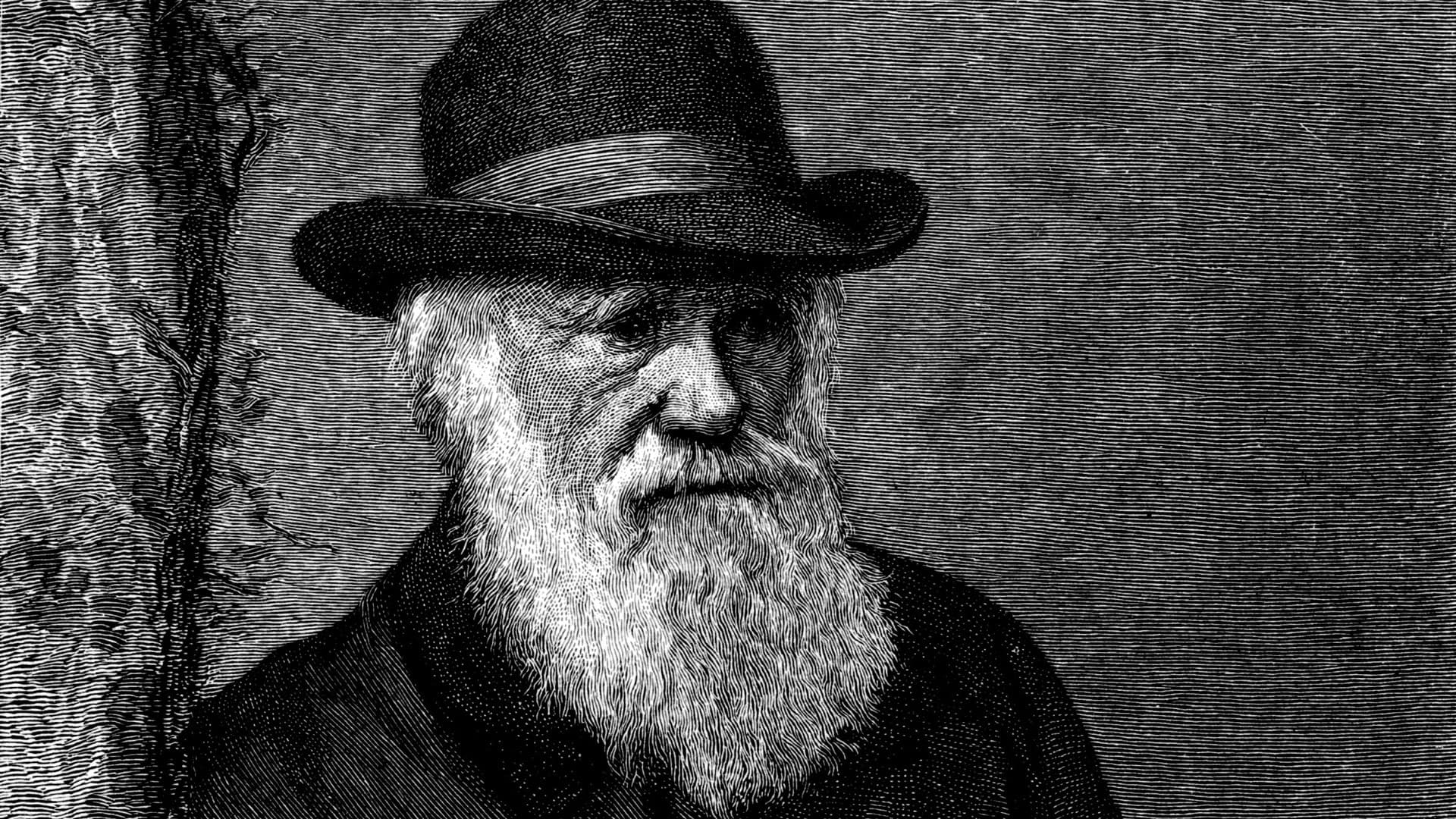 The Genius of Charles Darwin|The Genius of Charles Darwin