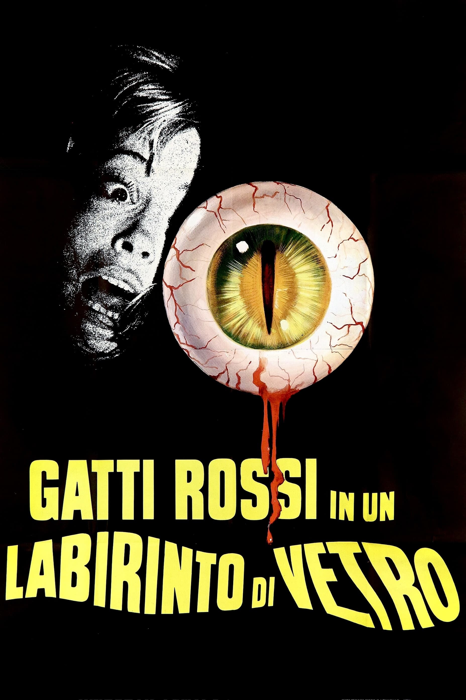 Gatti rossi in un labirinto di vetro | Gatti rossi in un labirinto di vetro