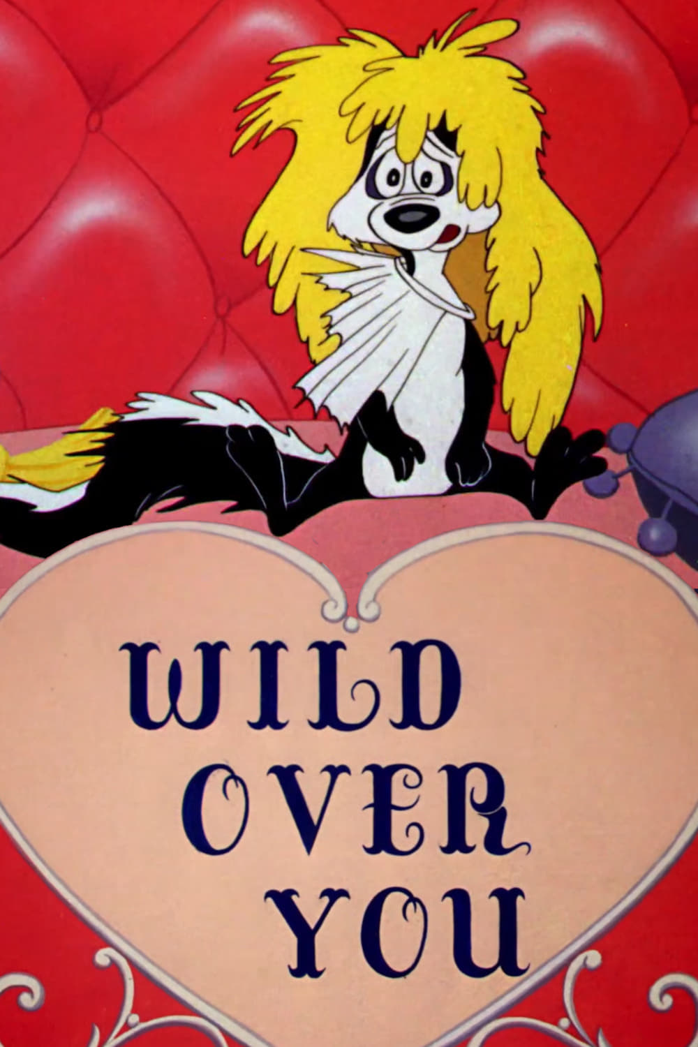 Wild Over You | Wild Over You