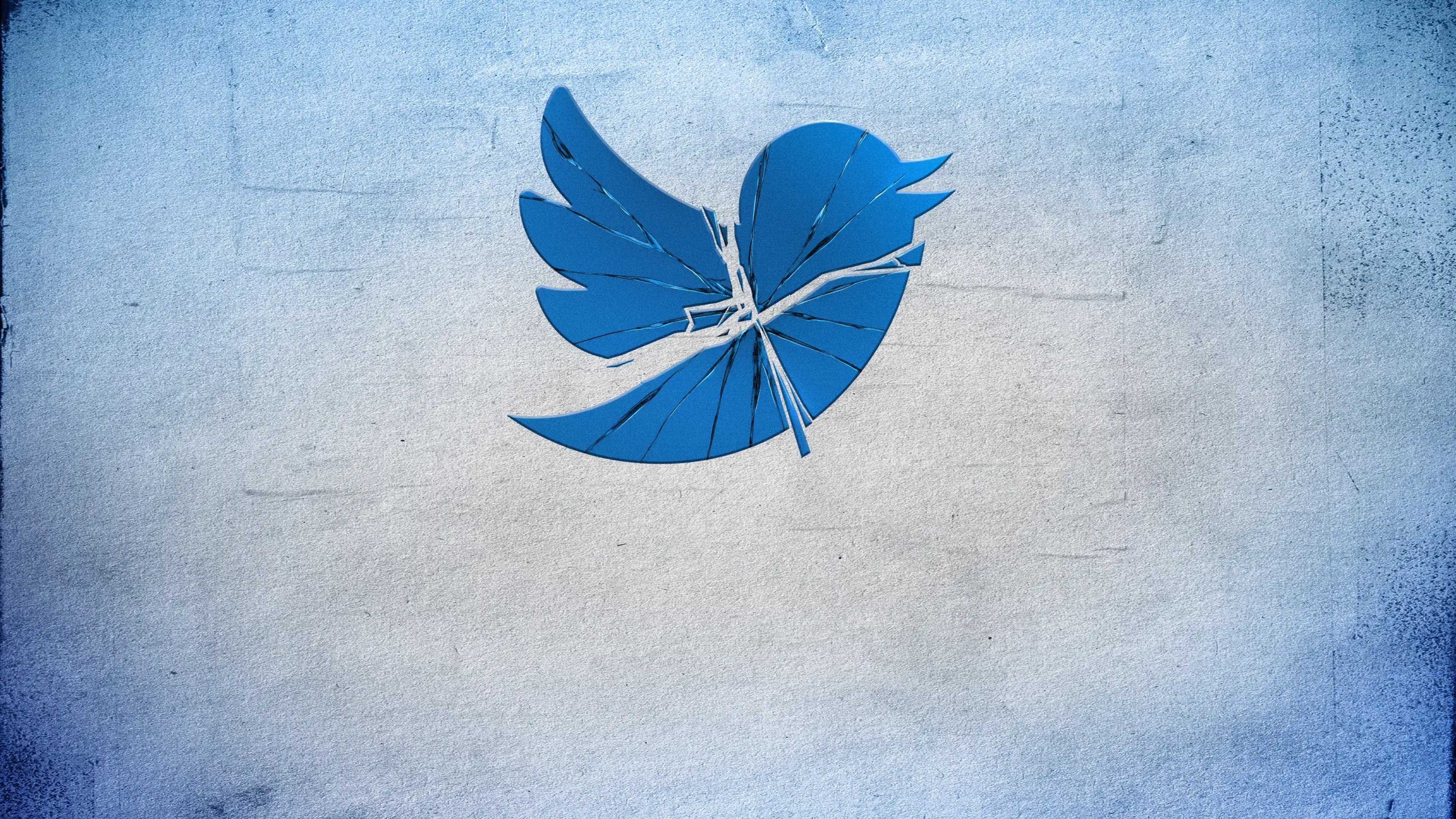 Twitter: Breaking the Bird|Twitter: Breaking the Bird