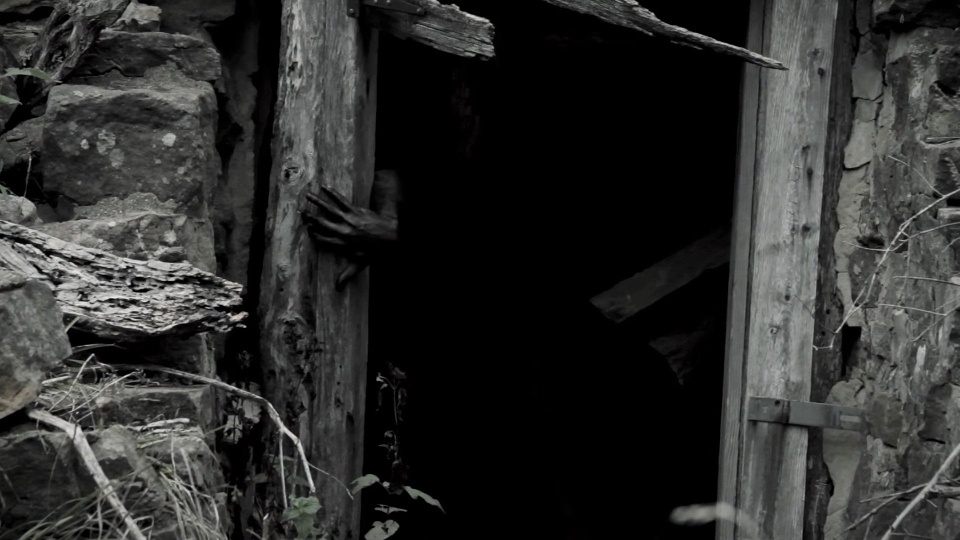 Folklore|Folklore