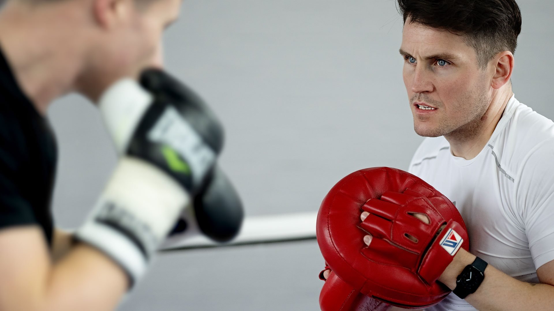 Stable: The Boxing Game|Stable: The Boxing Game